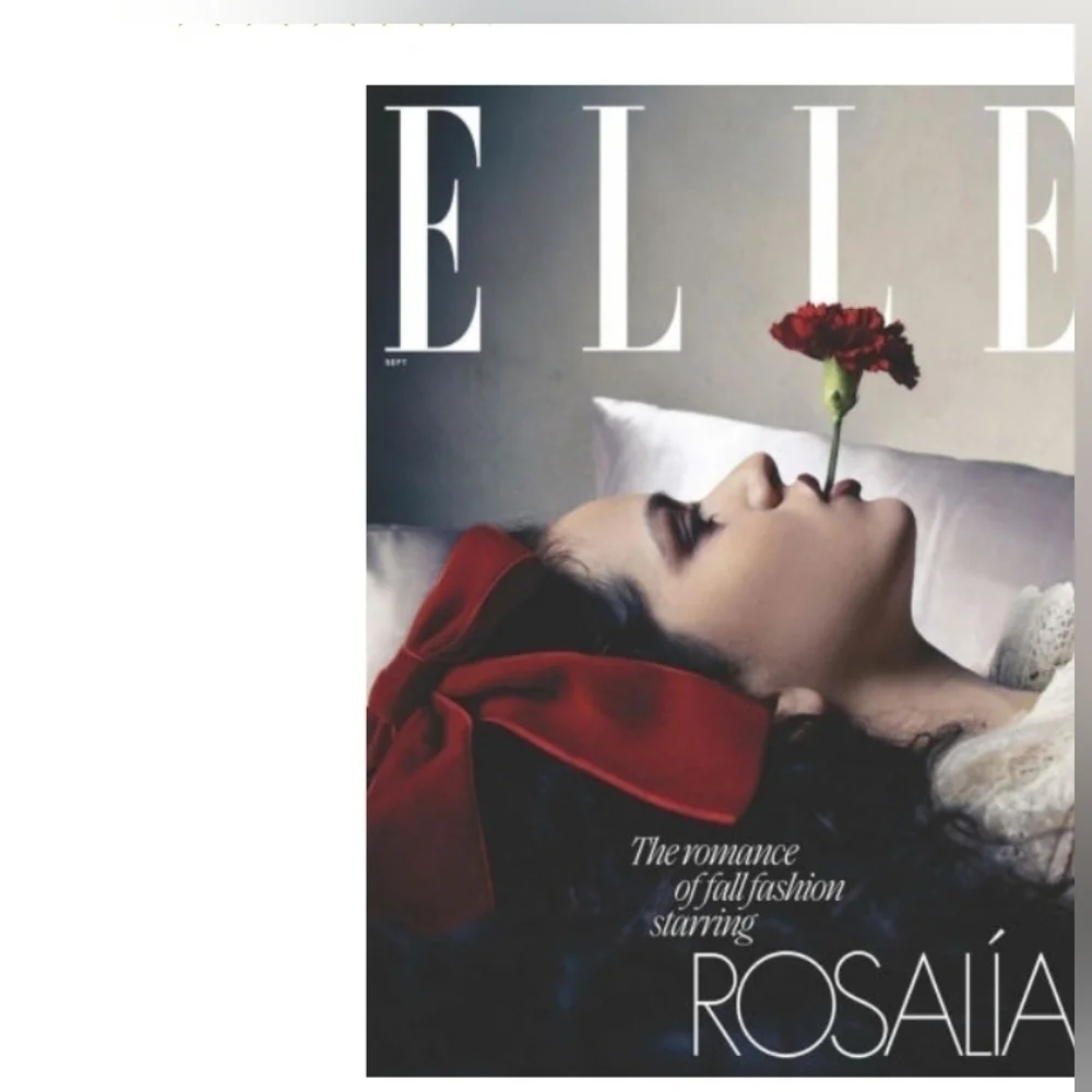 Hearst Publication elle magazine